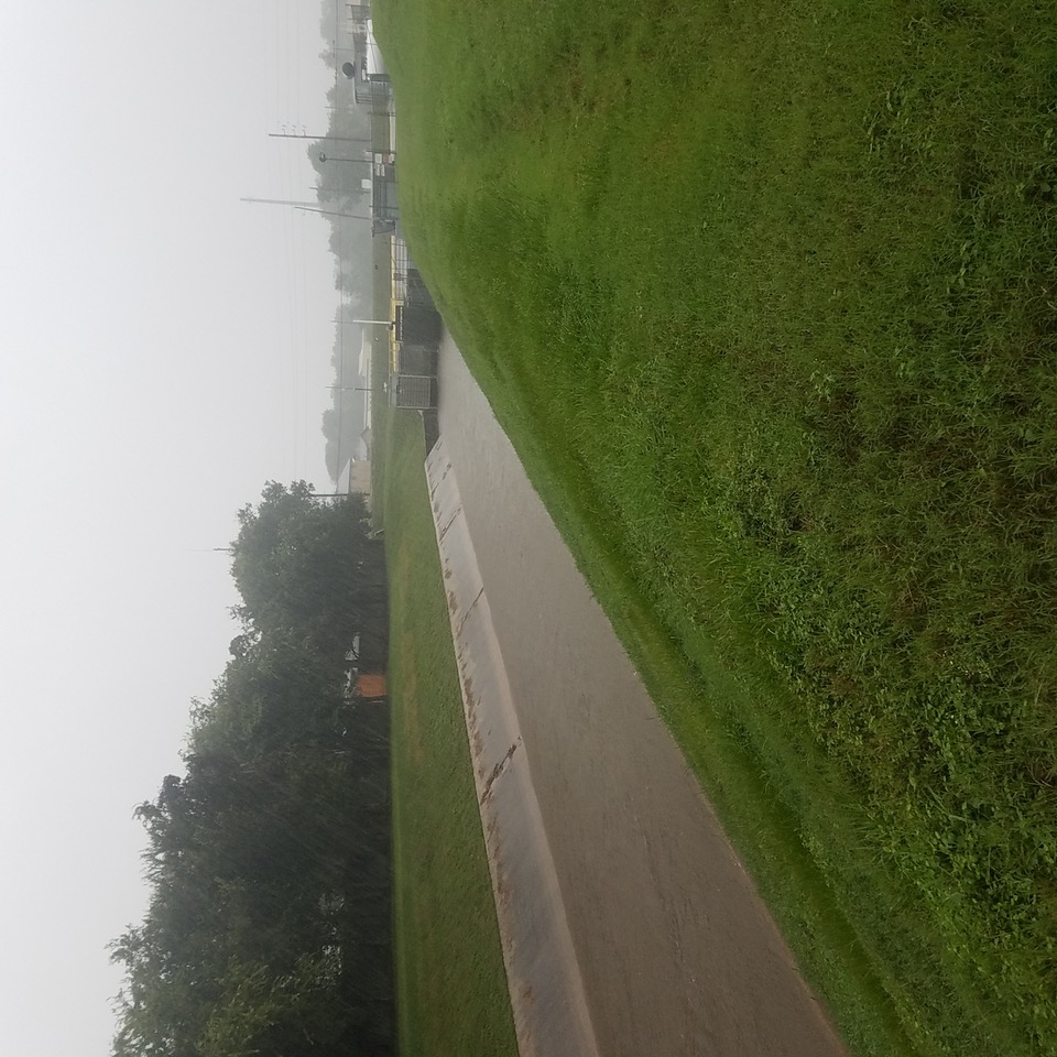 Weather Pecan Grove Municipal Utility District